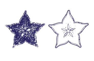 Grunge texture Two starfish illustrations in grunge style with one filled and one outlined design on white background Vintage Style