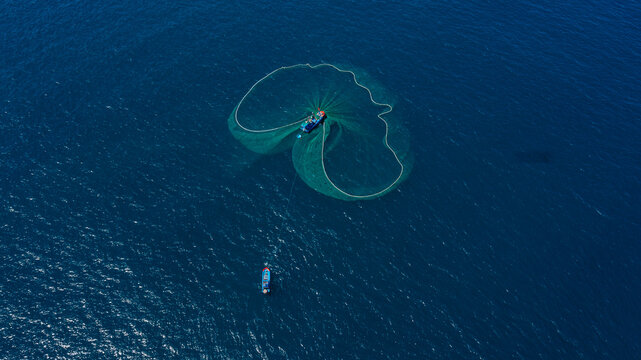 Anchovy fishing season in Dai Lanh sea, Phu Yen, Vietnam.