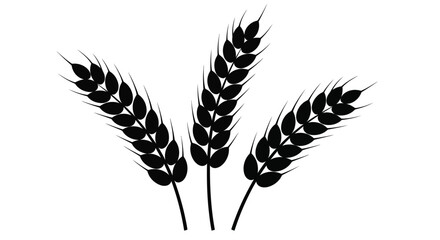 Three stalks of wheat depicted in a striking black silhouette © SHM707k