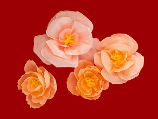 Paper craft romantic flowers foliage isolated on red background