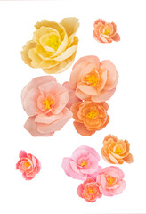 Paper craft romantic flowers foliage isolated on white background