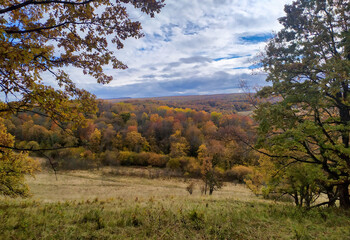 Obraz premium A fabulous autumn forest in all colors of colors in a lush outfit of yellow foliage in the seasonal period of the year in the foothills