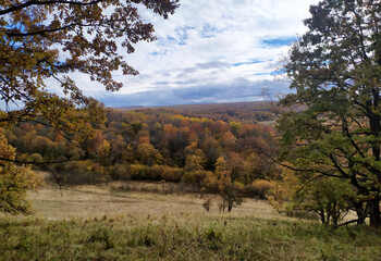 Fototapeta premium A fabulous autumn forest in all colors of colors in a lush outfit of yellow foliage in the seasonal period of the year in the foothills