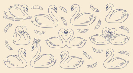 Elegant swans and feathers in minimalist line art style © logo master
