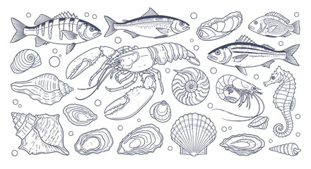 Underwater world with fish, crustaceans, and seashells illustration
