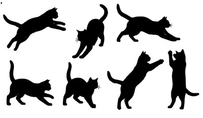 Realistic cat silhouettes vector set of different feline poses isolated on white background Keywords: © suborna