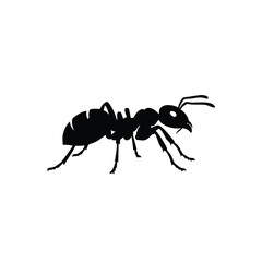 Silhouette of an ant on a white background.