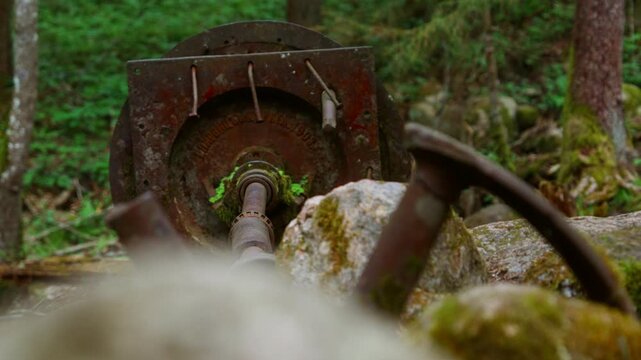 Abandoned industrial machinery in lush green forest