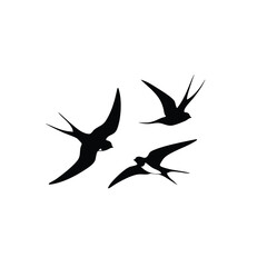 Obraz premium Three Silhouettes of Swallows in Flight.