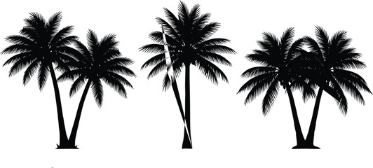 Black palm tree silhouettes collection, tropical coconut palm illustration set, isolated beach trees, minimalist summer nature design elements © Md