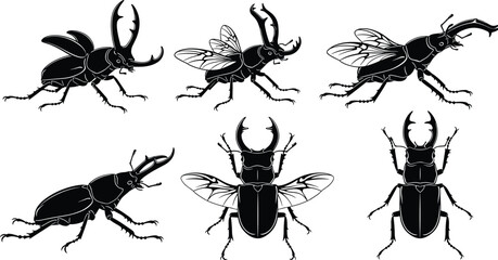 Collection of black stag beetle silhouettes, detailed insect icons, flying and crawling beetles with large mandibles, nature wildlife vector illustrations © Raihan