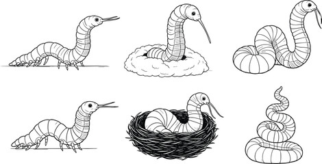 Hand drawn vector illustration of various worms and caterpillars, insect larva in nest and crawling, garden pests and biology concept, isolated © Raihan