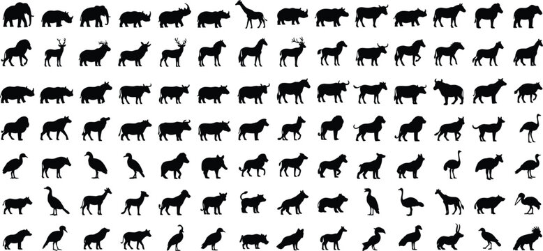 Large animal silhouette collection featuring wild mammals birds and safari animals isolated on white background vector icon set