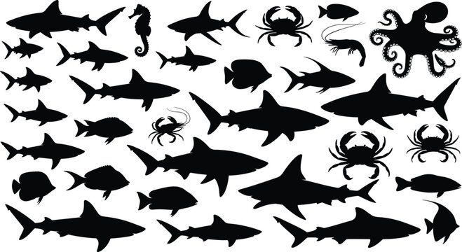 Marine life silhouette collection featuring sharks fish crabs octopus seahorse and ocean animals isolated on white background vector set illustration design