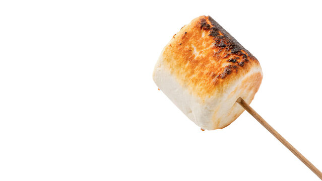 People roast marshmallows on sticks over a campfire isolated on transparent background cut out