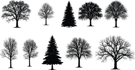 Fototapeta premium Set of detailed black tree silhouettes including deciduous and evergreen species, isolated on white background, natural forest illustration for graphic design