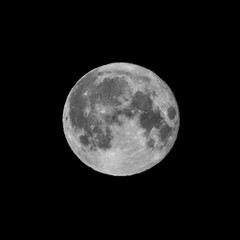 Fototapeta premium Detailed image of the full moon isolated on black.