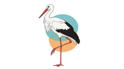 Fototapeta premium Graceful white stork with black wings and a long red beak standing on one leg against a colorful background.