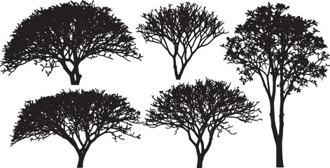 Black Solid Tropical Frangipani Tree Silhouettes Set of Six on White Background © AADIL