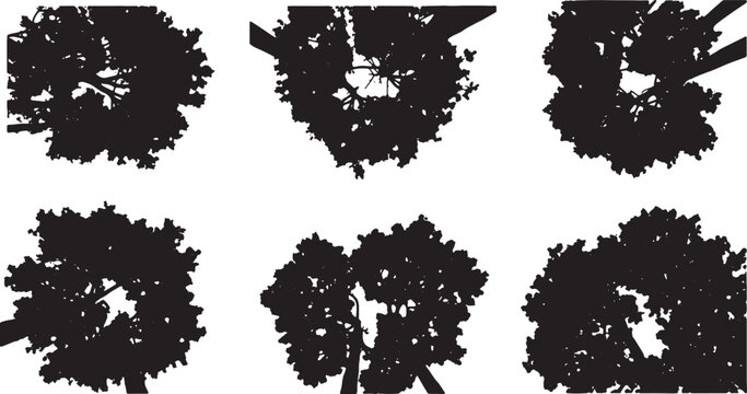Black Solid Upward Canopy View Silhouettes Set of Six on White Background