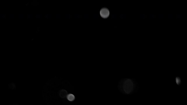 White circular flying bokeh particles overlay for elegant video backgrounds