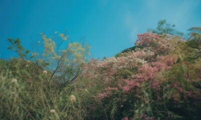 Lush, colorful hillside blossoms against a vibrant, cloudless sky
