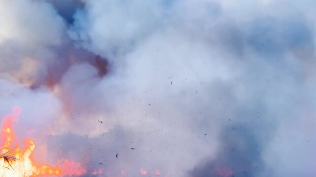 Climate-induced fire catastrophe, environmental regulations in question, manmade disasters increasing, countryside burning uncontrollably, thick smog affecting visibility, rural communities at risk