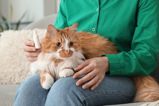 Young woman with cat and anti-parasitic spot-on applicator at home, closeup