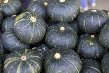 Bountiful harvest of fresh green kabocha squash at market. This pile of raw, organic vegetable represents healthy, natural food and feeling of autumnal abundance