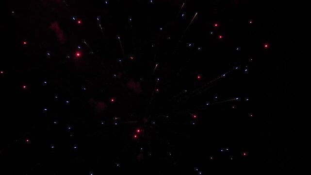 Fireworks transform black night sky into canvas of vivid colors on holiday event. Dazzling display of firework with shimmering lights in dark sky. Fireworks sparkling canopy against darkness at night