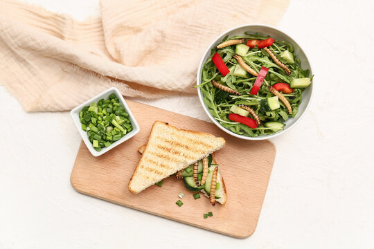 Sandwich with fried maggots and bowl of fresh salad on white background