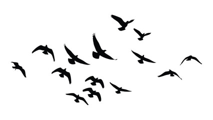 A flock of birds flying in a clear blue sky during the day Vector