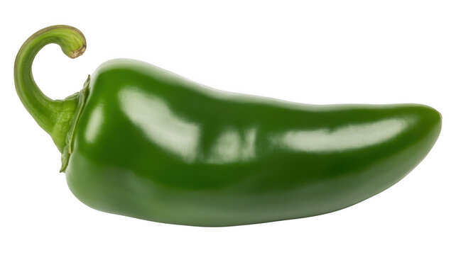 Green Jalapeno Pepper in Fresh Studio Shot with Bright Lighting on Isolated White Background for Food Ingredient