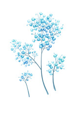 Set of blue gypsophila flower isolated on white. Hand painted watercolor botanical illustration in soft cool tones. Elegant floral element perfect for wedding design, invitations, branding, packaging