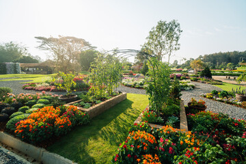 Fototapeta premium Beautiful organic kitchen garden with raised beds, metal arch trellis, and blooming nasturtium flowers in morning sunlight