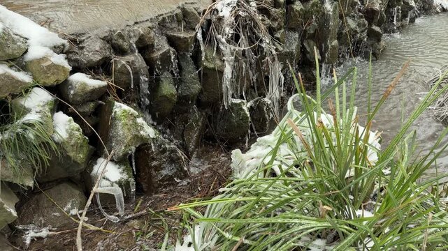 Water trickles over snow-covered rocks and frozen grass. The liquid flows into the stream, creating light splashing and bubbling sounds. Thin icicles hang silently amidst the moving water.