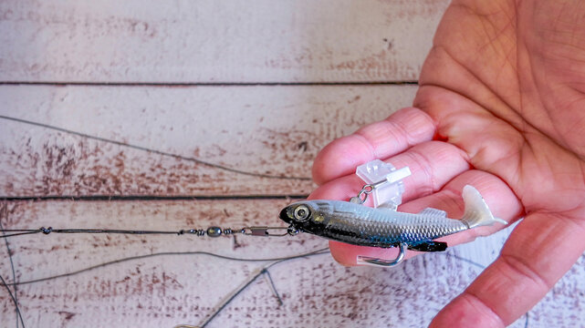 Lures, accessories, and fishing rigs.