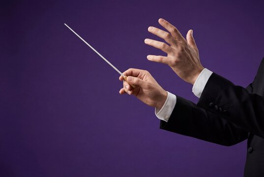 Hands of a male conductor holding a baton in a black suit isolated on purple background