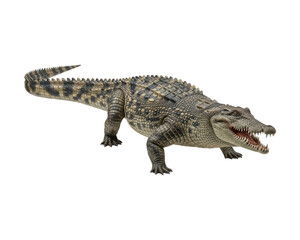 Naklejka premium Full body view of a detailed realistic crocodile with open mouth and sharp teeth isolated on a transparent background