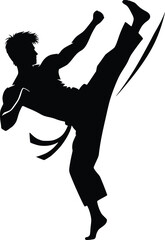 Silhouette of a martial artist performing a high kick