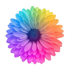 Obraz premium A vibrant and colorful flower with petals in a rainbow spectrum. isolated on transparent background