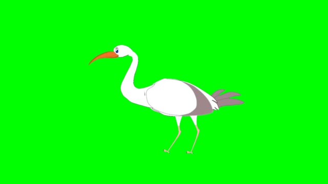 Stork Pretty Bird talking cartoon characters with green screen video animation with chroma key 