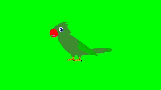 Parrot Bird talking cartoon characters with green screen video animation