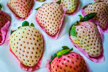 Close-up view of fresh, ready-to-eat, special variety of white and pink strawberries in a protective box.