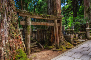 Path through Koyasan Okunoin cemetery, Wakayama Prefecture, Japan