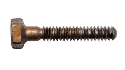 Slotted Head Screw