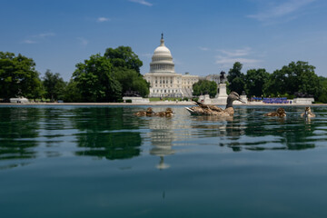 Fototapeta premium Ducks swim near the Capitol landmark. Capitol building. The House and Senate. Capitol Reflecting Pool in Washington, DC. Iconic Capitol Building. Historic symbol of American democracy.