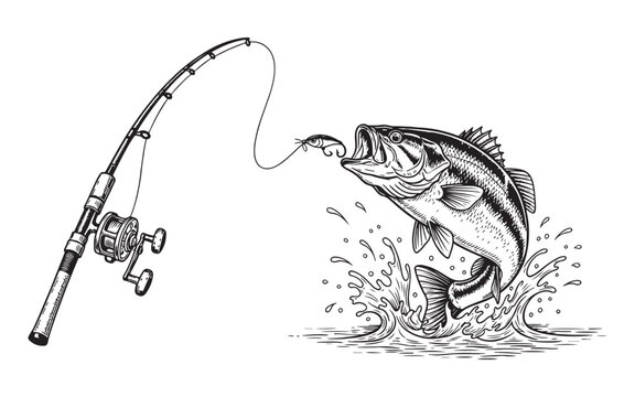 argemouth bass fish jumping out of the water to catch a lure on a fishing rod. Hand-drawn engraving style.