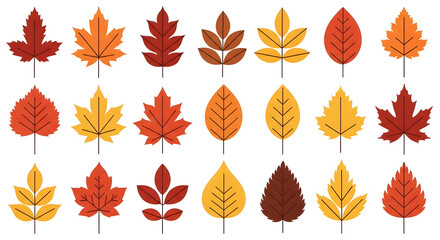 Fototapeta premium Vibrant autumn leaves collection in various shapes and colors