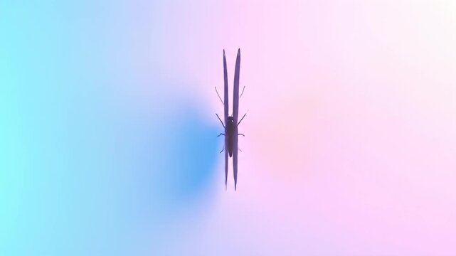 Butterfly on Gradient Background - A Symbol of Transformation and Beauty.
